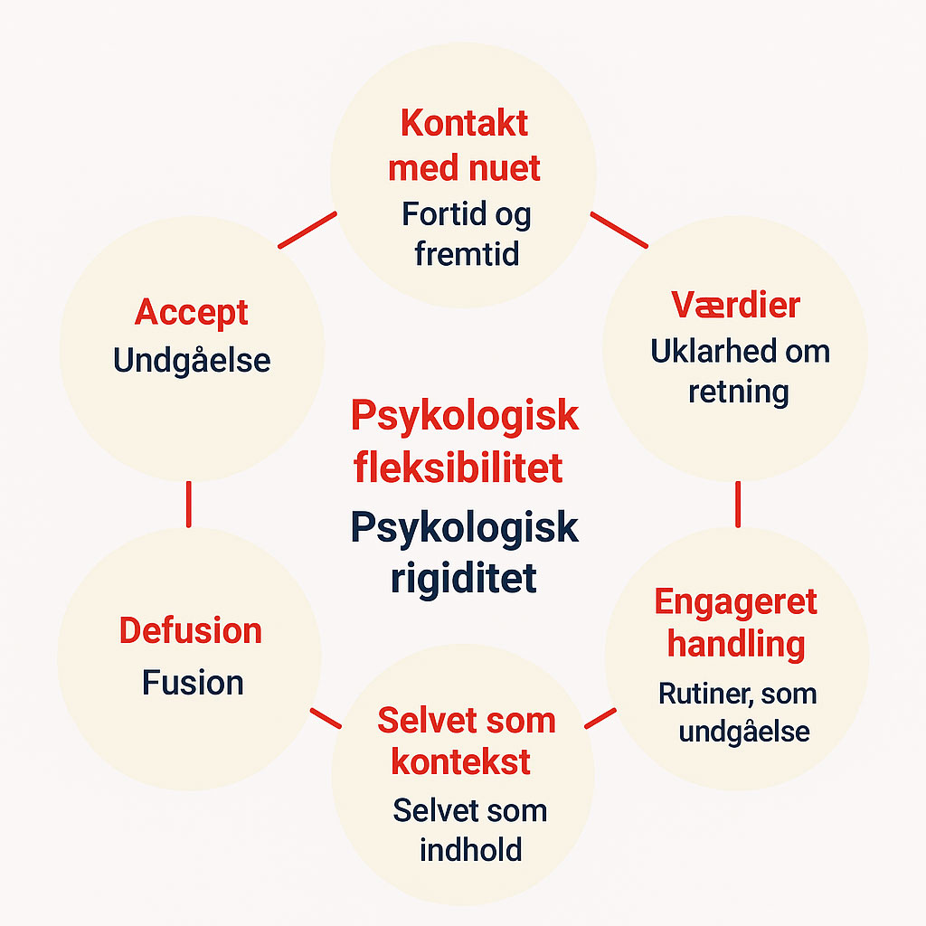 Jens E. Mortensen Et dansk diagram, der viser psykologisk fleksibilitet og rigiditet, med seks omgivende begreber relateret til mindfulness, værdier, accept og handlinger.